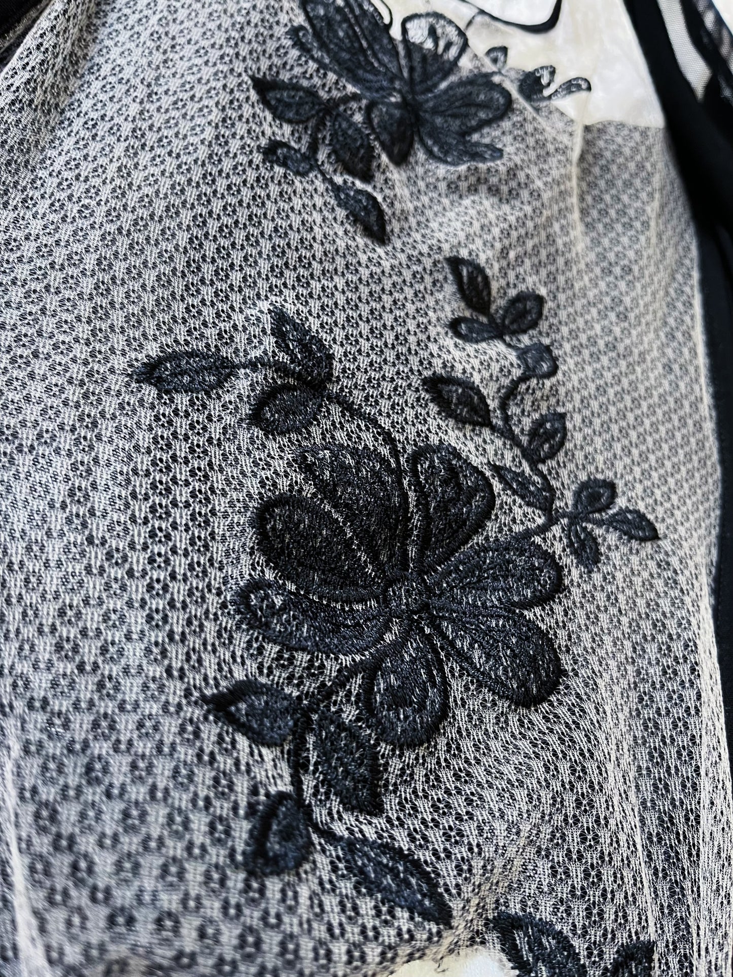 Dark whimsy see-through mesh & lace corset 🧚🏾