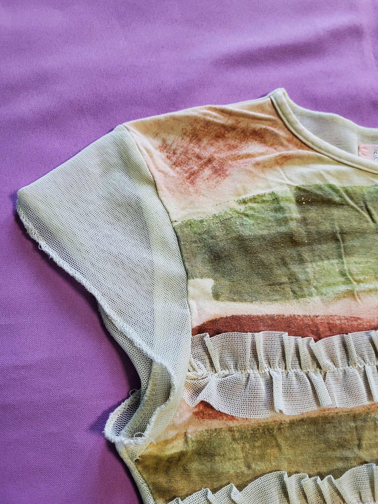 Fairy y2k top