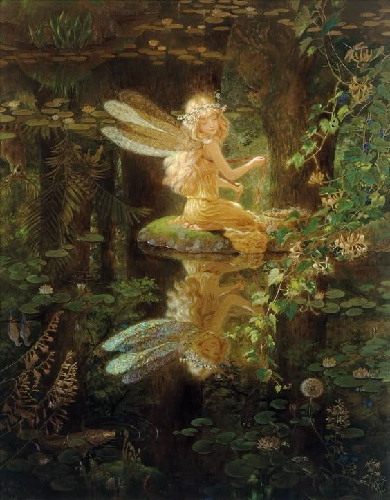 Fairy