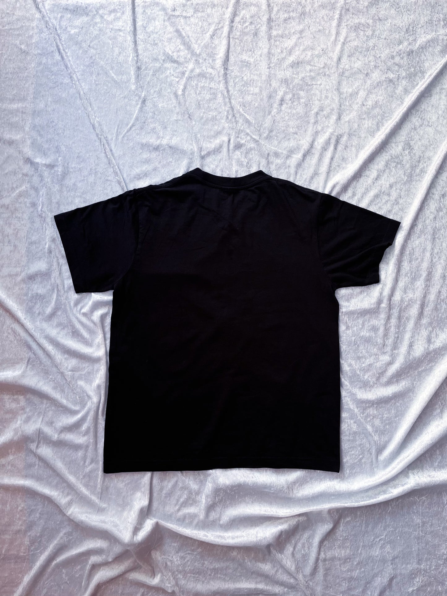 Y2K funny dracula t-shirt 🧛🏻‍♂️